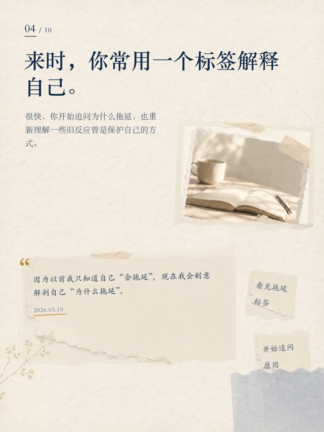 燕子成长报告第 4 页